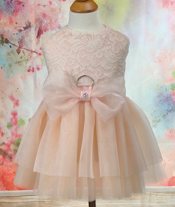 Blush Dog Dress Lace Organza Wedding Dress Bridal Dog Etsy