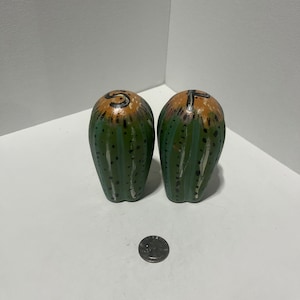 Cactus salt and pepper shaker