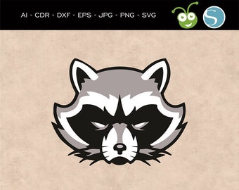 Raccoon Svg, Trash Panda svg, Cute Animal, Vector Raccoon, Raccoon Face, Raccoon illustration, Raccoon, Cricut, Raccoon Silhouette