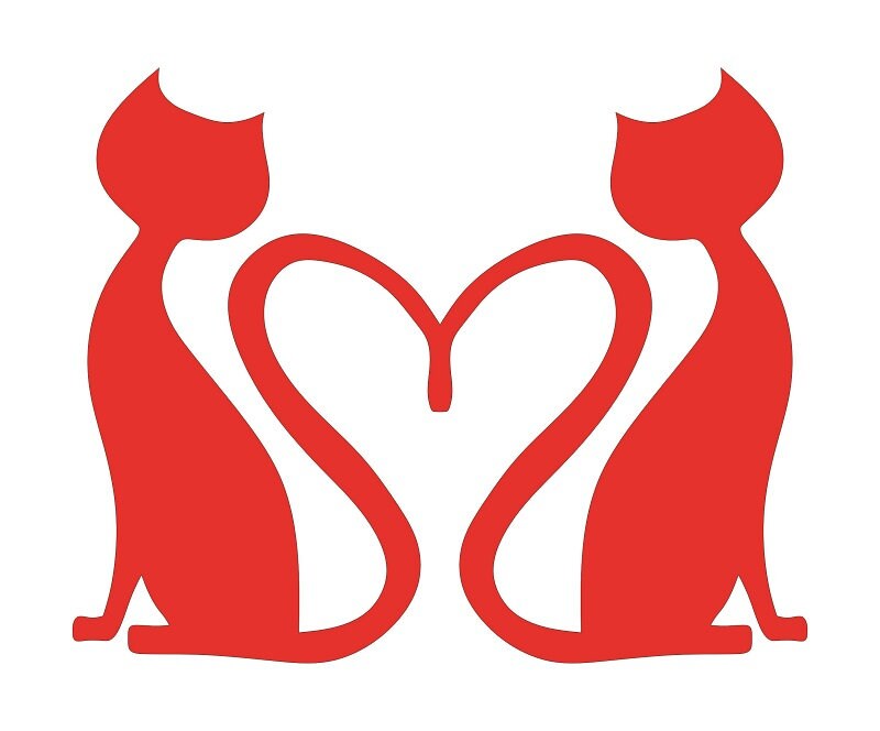 Cat Heart Love Stencil Cutout Template Cat Svg Cat Heart - Etsy Ireland