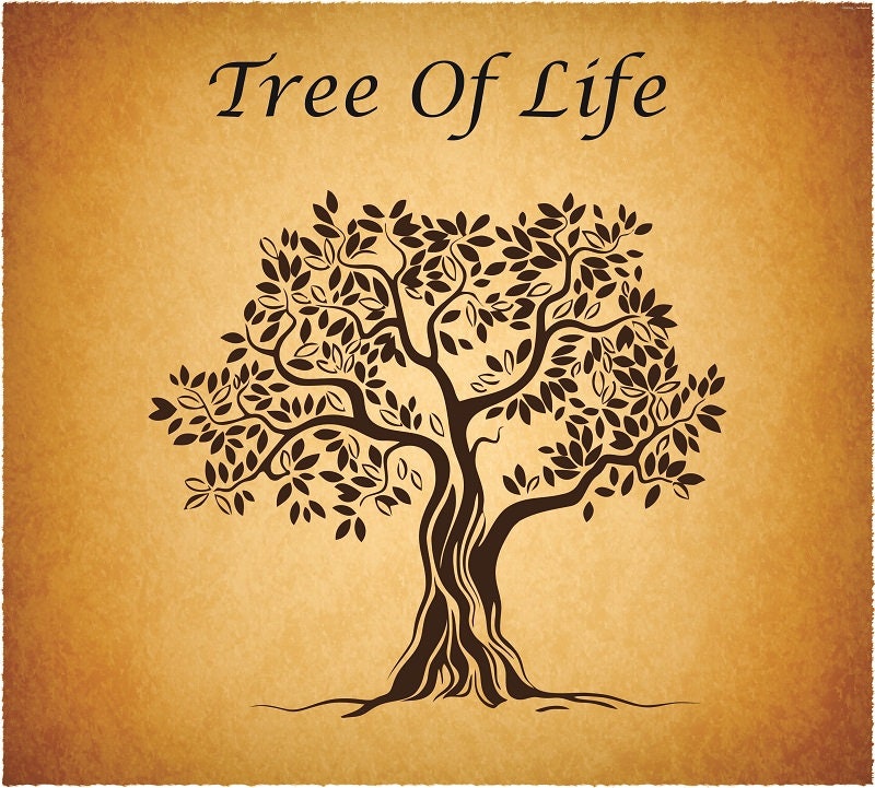 Download Tree of Life svg Love Tree Tree cut file Vector Tree Tree ...