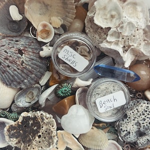 Op de afbeelding: Een verzameling schelpen, kristallen en zand in kleine potjes. De schelpen variëren in grootte, vorm en kleur, van wit tot bruin. De potjes zijn gelabeld met "misc shells" en "beach sand". Een blauw kristal en andere stenen zijn ook zichtbaar.