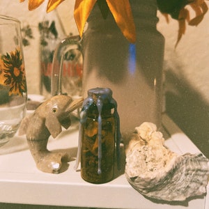 May include: A small glass bottle with a blue wax seal and a light brown liquid inside. The bottle is sitting on a white surface next to a small, gray, dolphin-shaped figurine and a large, white, seashell.
