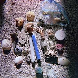 Handpicked Sea Witchcraft Kit, Sea Witch Kit, Beginner Witch Ocean Magick Kit, Sea Shell Water Magic