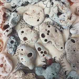 Puede incluir: Un surtido de piedras erosionadas y porosas en tonos grises, beige y marrón. Las piedras varían en tamaño y forma, algunas con agujeros. Están dispuestas sobre una tela color crema con un estampado floral en blanco y negro.