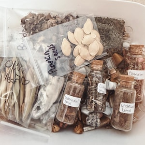 Beginner Witch Supplies Scoop, Witchcraft Supplies Kit, Gifts For Witches, Spellwork Herb Blends, Green Witchcraft Kit, Sea Witch Kit