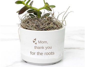 Dear Mom, planter gift for mothers day, succulent,jade,cactus,Thank you