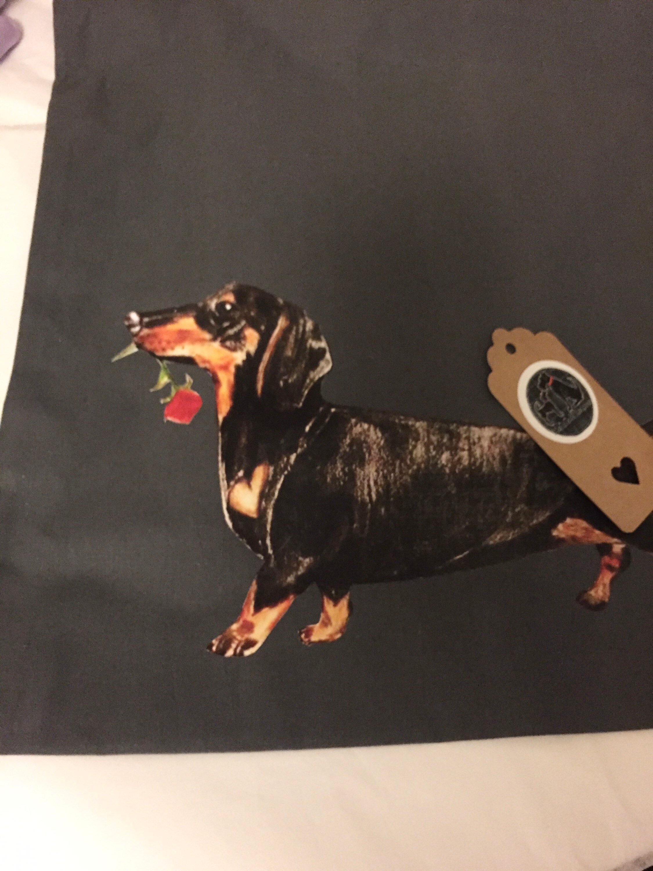 Sausage dog bag dachshund tote bag dachshund gift cute Etsy