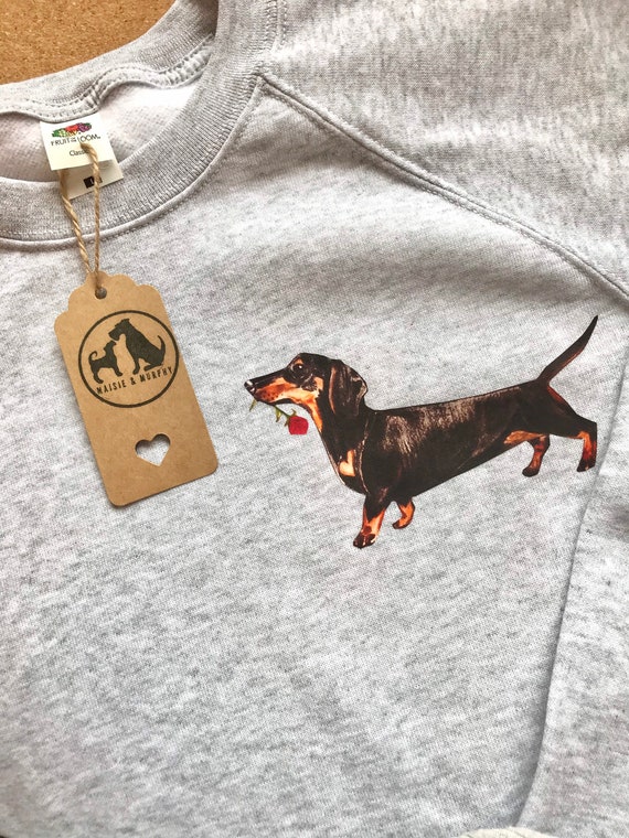 sausage dog jumper
