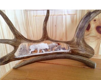 moose antler carving etsy