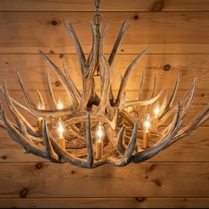 Puede incluir: Una lámpara de araña rústica de cuernos con múltiples bombillas. La lámpara de araña está hecha de cuernos de color natural y cuelga de una cadena. El fondo es una pared de madera.