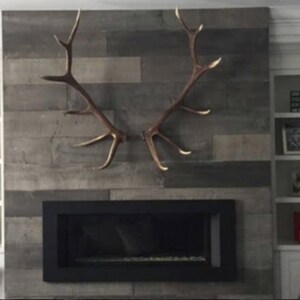 1 Faux Elk Antler