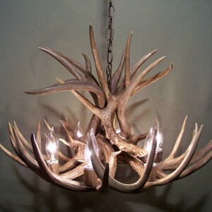 Mississippi Deer Antler Chandelier Rustic 16" Tall x 26" Wide 6 Lights Individually Handcrafted For Excellence When Only the BEST Will Do!