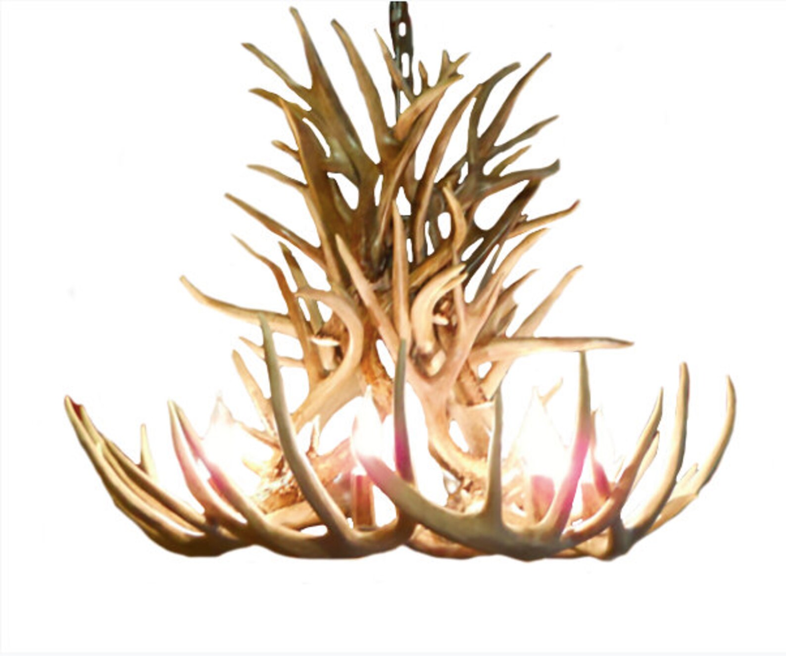 Real Antler Chandelier Rustic Chandelier Pendant Deer Etsy