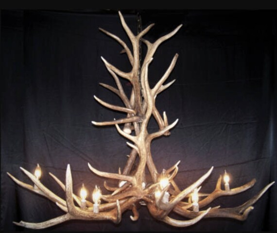 Real Antler Chandelier 8 Lights Shed Art Elk Covered Real Antler Chandelier 8 Lights Shed Art Elk Covered Sockets Handmade Extra