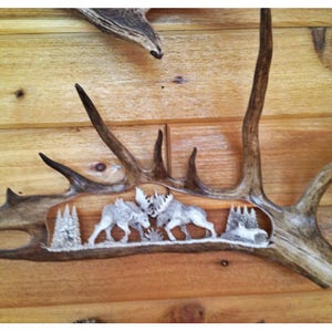 Antler Carving Moose Antler Carvings Moose Antler Art Moose Carvings Moose Horn Carving Carved Antlers Fighting Bull Moose image 4