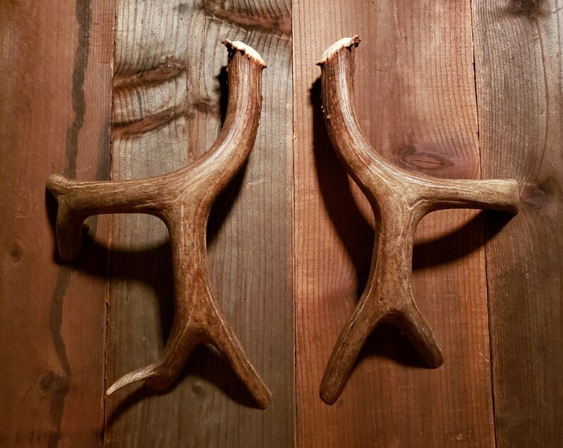 Real Elk Deer Antler Door Handles Knobs Rustic Log Cabin Etsy