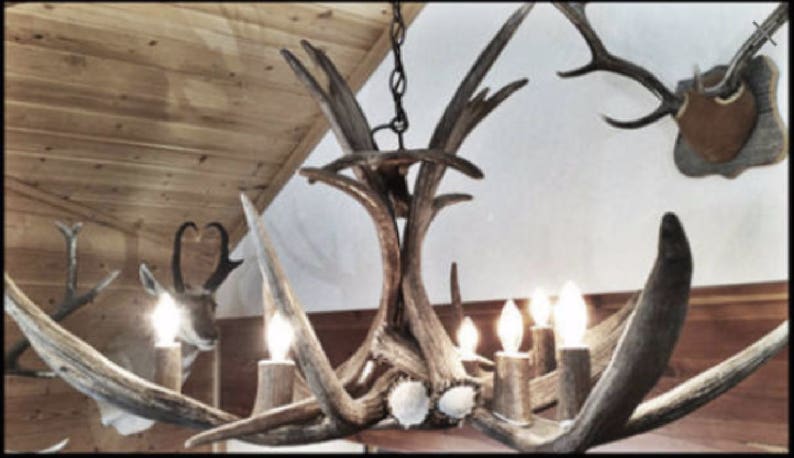 Real Moose Antler Chandelier Rustic Pendant Lighting Shabby Chic Lights Manitoba