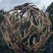 see more listings in the Antler Chandelier Decor section