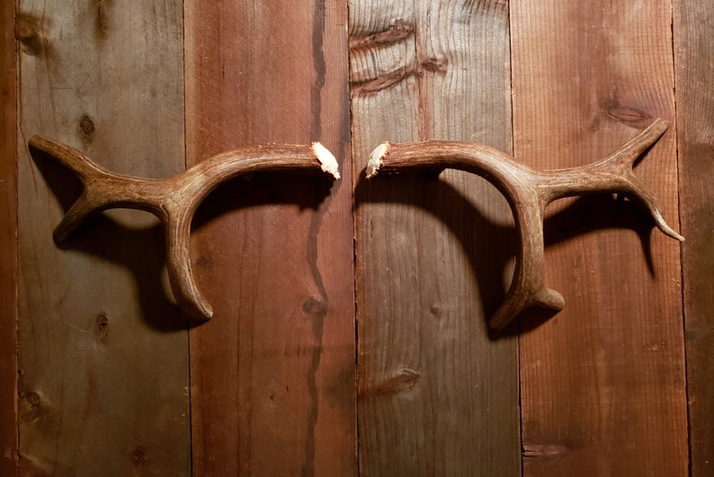 Real Elk Deer Antler Door Handles Knobs Rustic Log Cabin Etsy
