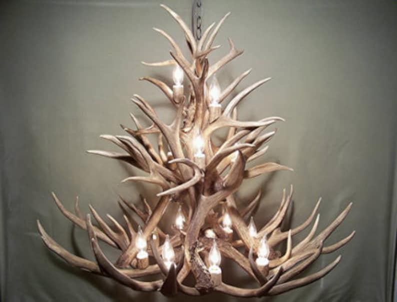 Real Antler Chandelier Rustic Chandelier Pendant Lighting Deer Etsy