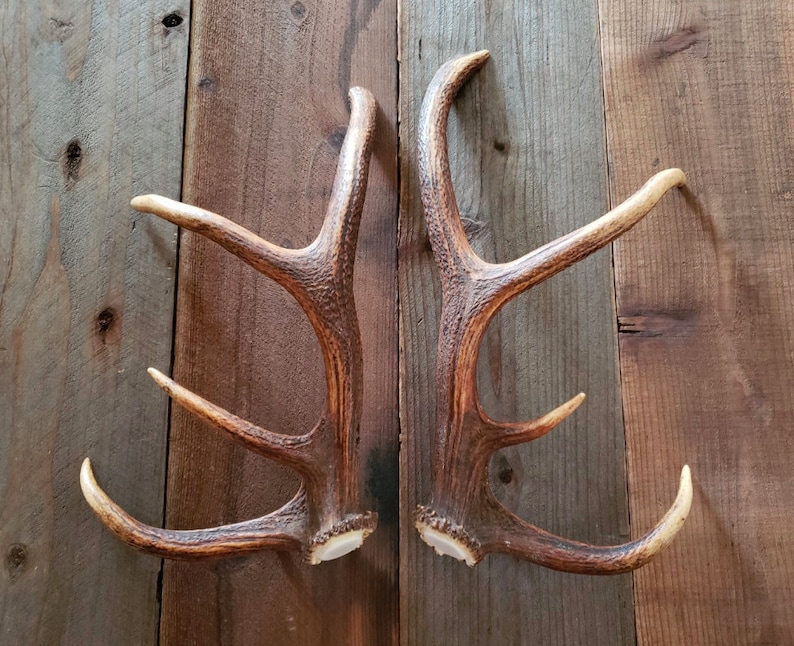 Real Elk Deer Antler Door Handles Knobs Rustic Log Cabin Etsy