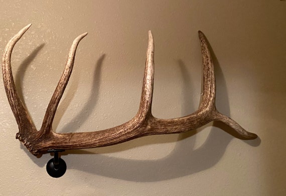 Rustic Deer or Elk Antler Wall Mount Bathroom Towel Hanger Rustic Deer or Elk Antler Wall Mount Bathroom Towel Hanger