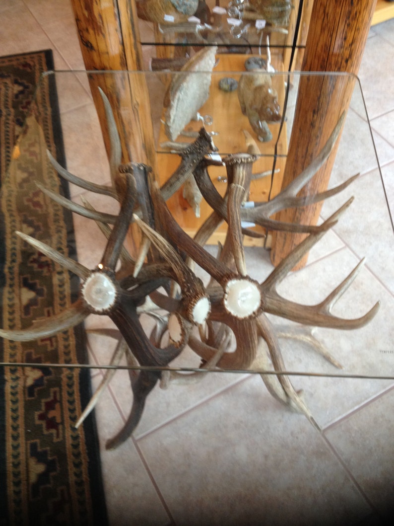 End Table Elk Antler Furniture Rustic Furniture Coffee Table Antler
