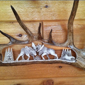 Antler Carving Moose Antler Carvings Moose Antler Art Moose Carvings Moose Horn Carving Carved Antlers Fighting Bull Moose image 1