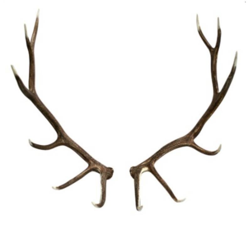 1 Elk Antler, Antler Decor Faux Antlers White Antlers White Faux
