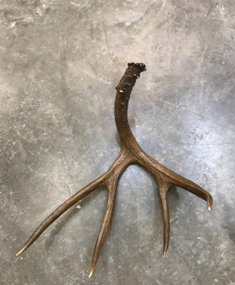 Real Antler Decor Shabby Chic Decor Rustic Furniture Using Etsy