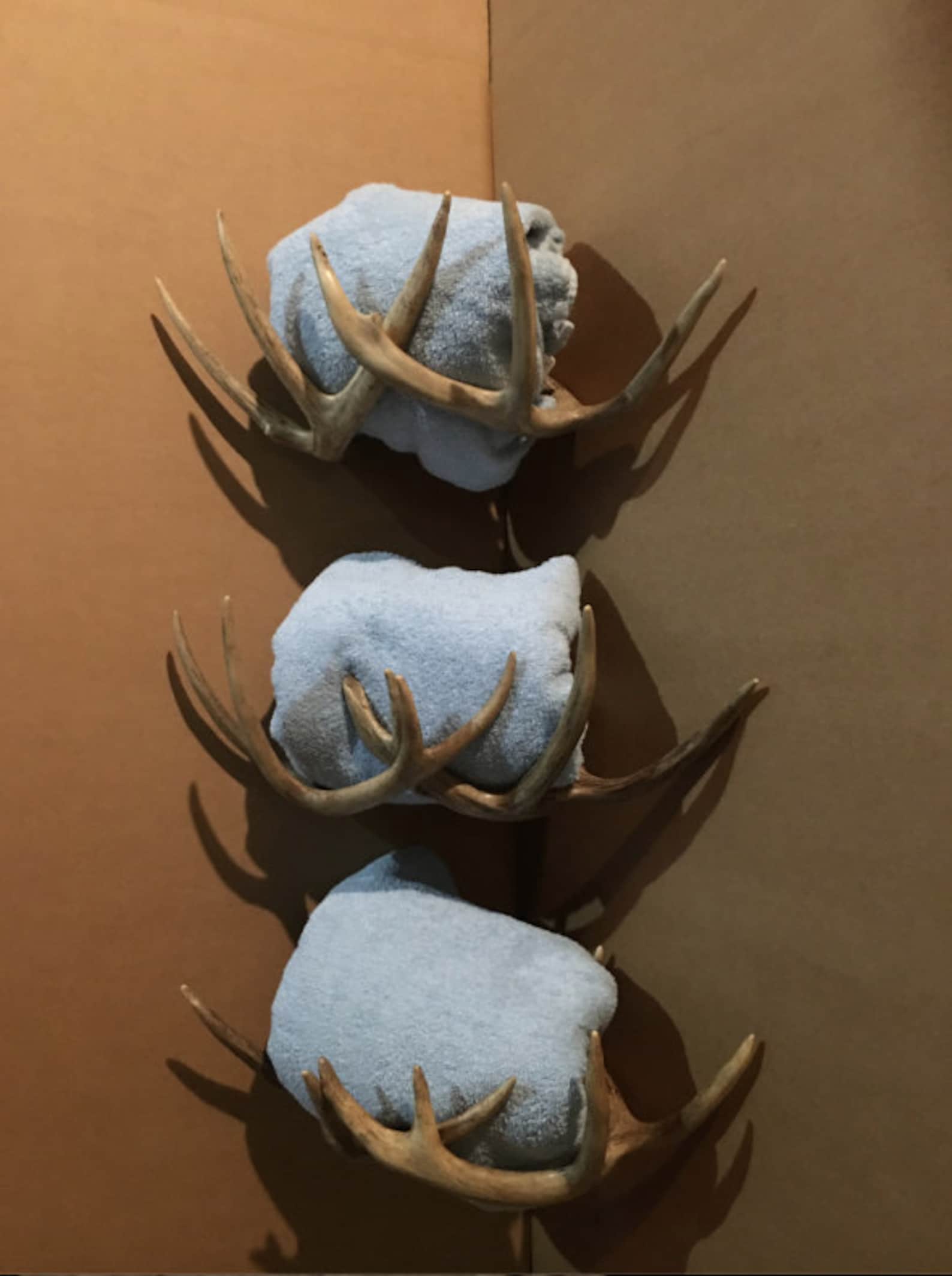 Real Deer Antler Towel Rack Coat Rack Rustic Furniture Antler Etsy