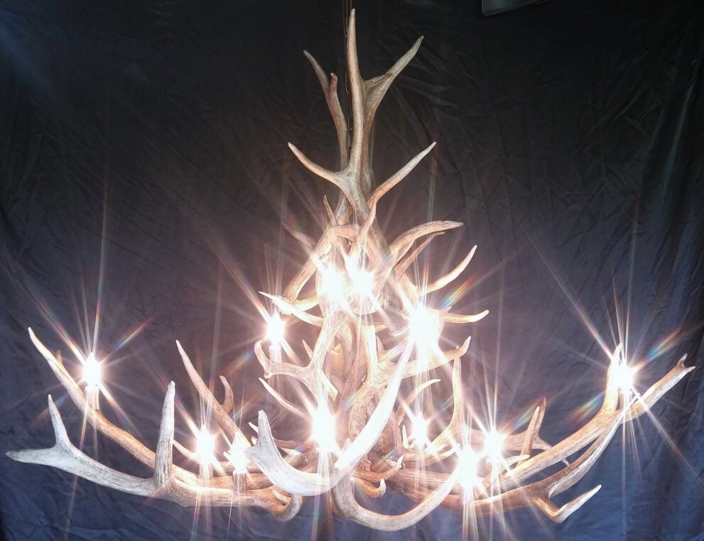 Real Elk Antler Chandelier Rustic Chandelier Elk Chandelier Etsy