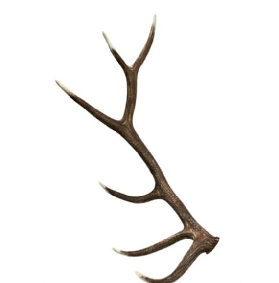 1 Elk Antler Antler Decor Faux Antlers White Antlers White Etsy