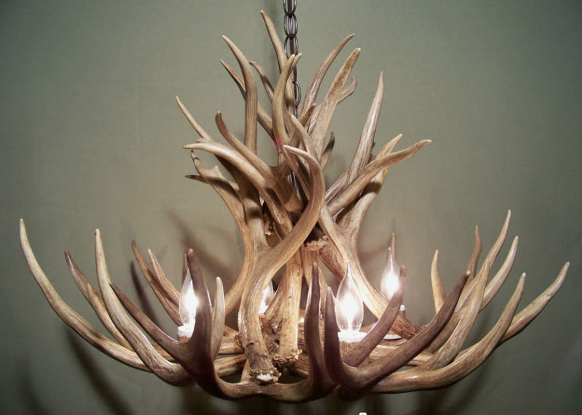 Real Deer Antler Chandelier Rustic Pendant Chandelier Deer Etsy