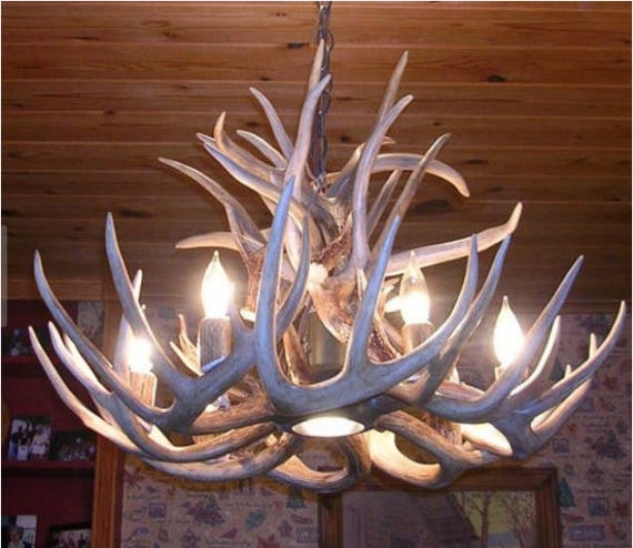 Real Deer Antler Chandelier Ceiling Light Rustic Lights Pendant Light Shabby Chic Light Maryland 28 Wide X 20 Tall 6 Lights Down Light