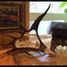 see more listings in the Antler Carving Decor section