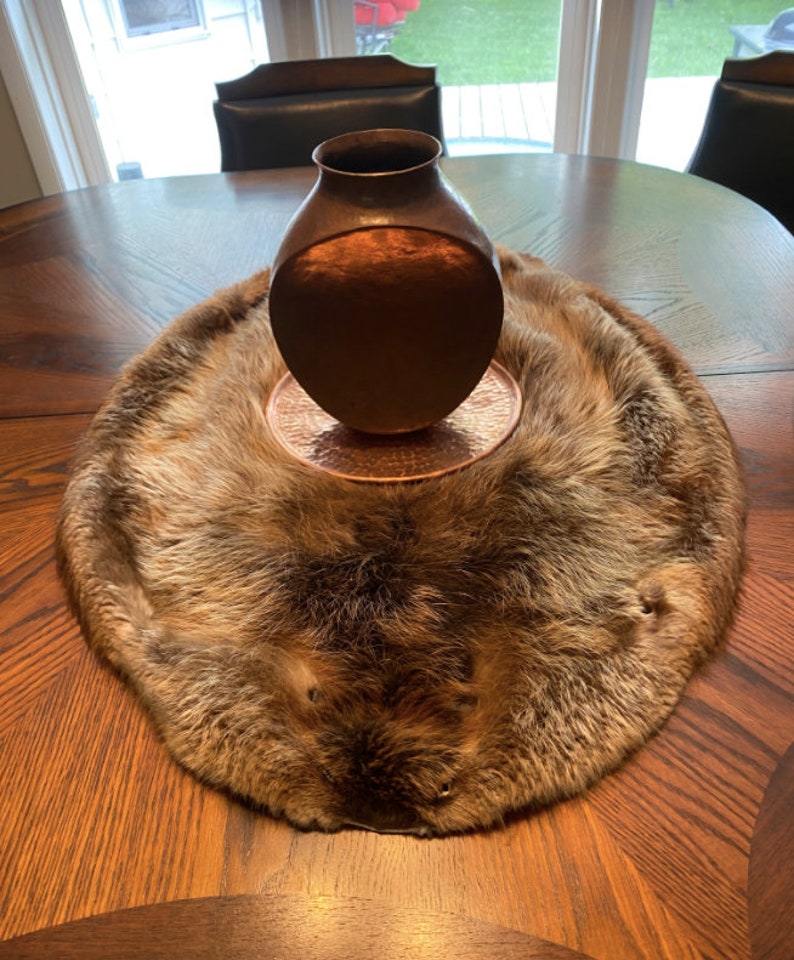 Beaver Pelts Professionally Tanned Etsy