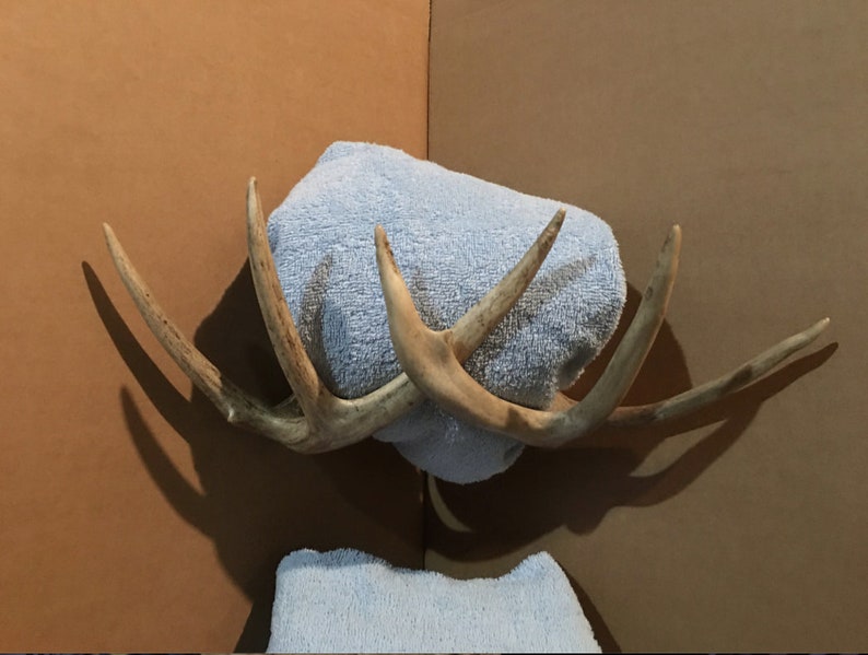 Real Deer Antler Towel Rack Coat Rack Rustic Furniture Antler Etsy