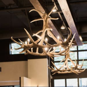 Challis Faux Elk Antler Chandelier Rustic Lighting Pendant Ceiling Lights 60&quot; Wide by 48&quot; Tall  Individually Handcrafted For Excellence