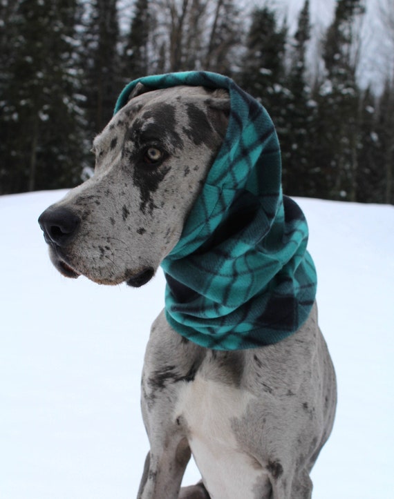 Great dane snood Clearance