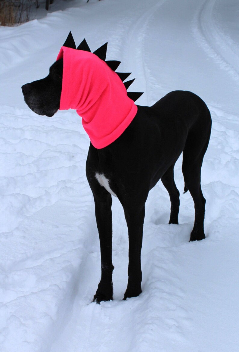 XL Great Dane Snood/Dog Accessory/Dog Clothing/NeonHi Etsy
