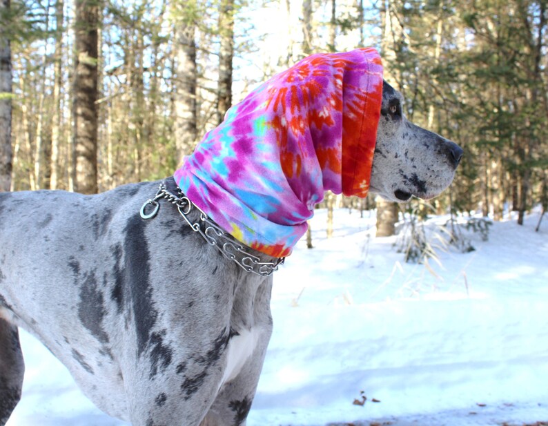 XL Great Dane Snood/Bright Tie Dye Swirl / Big Dog/ Rainbow/ Etsy