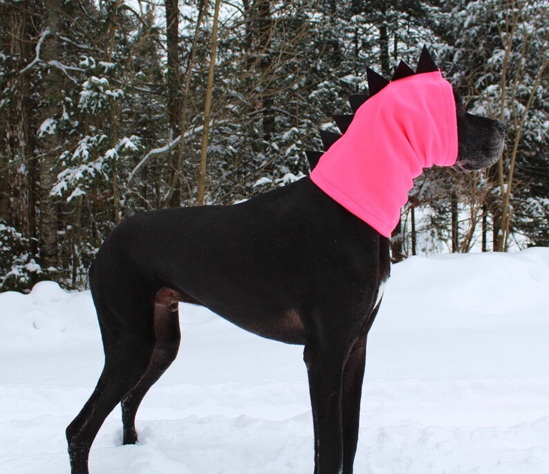 XL Great Dane Snood/Dog Accessory/Dog Clothing/NeonHi Etsy