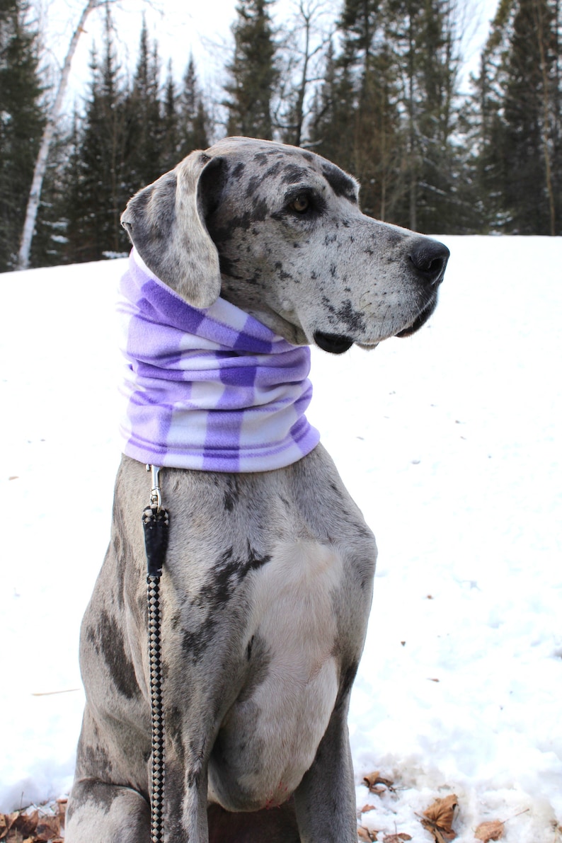 XL Great Dane Snood/Purple Plaid Snood/Big Dog Etsy