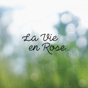 La Vie en Rose Vinyl Decal // Life in Pink Decal, Car Window Decal, Laptop Decal, Phone Decal, Tablet Decal, Waterbottle Decal