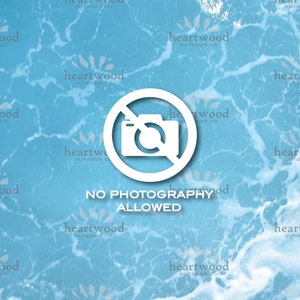 No Photography Allowed //  No Photography Decal, No Photography Sticker, Storefront, Business Storefront, Business DIY