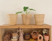 Bamboo Wicker Houseplant Planter Basket Wicker flower Vase