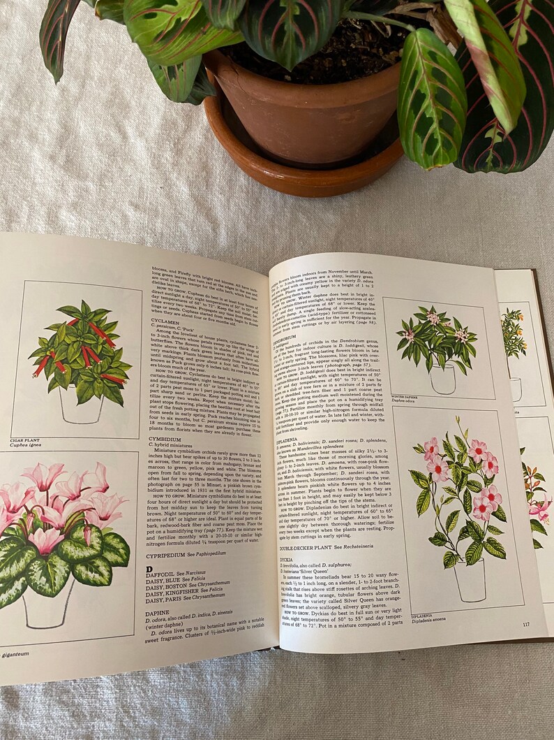 Vintage flowering House Plants Guide Book How to Care Etsy
