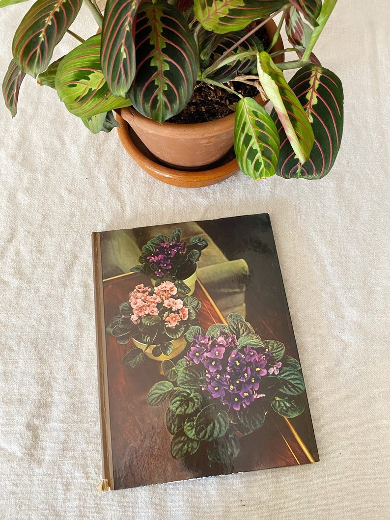 Vintage flowering House Plants Guide Book How to Care Etsy